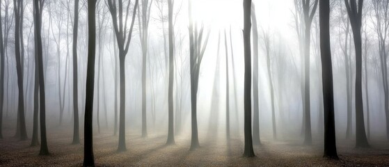 Obraz premium A foggy forest scene with tall, bare trees and soft light filtering through the mist, creating a mysterious and tranquil atmosphere.