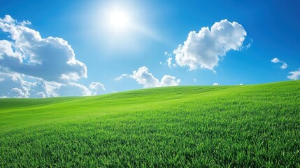Obraz premium Bright Sunny Day Over Lush Green Grass Field Under Vibrant Blue Sky with Fluffy White Clouds in a Peaceful Natural Landscape Scene