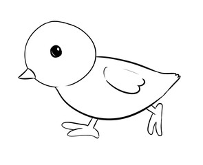 chick digital drawing illustration isolated