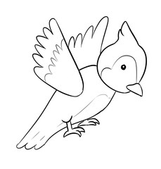bird digital drawing illustration isolated