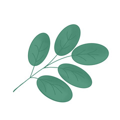Obraz premium Branched leaves