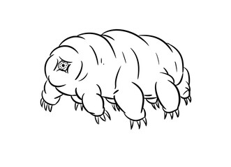 tardigarde digital drawing illustration isolated