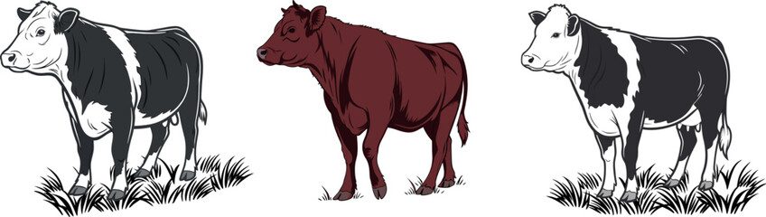 The Role of Cows in Sustainable Agriculture and Farming