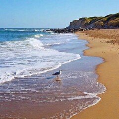 A full shot of a sandy beach with seagulls at eye level, with gentle waves lapping at the shore and...