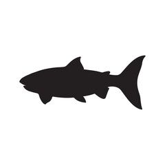 salmon silhouette., Vector illustration. salmon silhouette in line art style. Fish vector by hand drawing. Fish tattoo on white background .Black and white fish vector on white background
