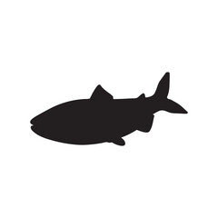 salmon silhouette., Vector illustration. salmon silhouette in line art style. Fish vector by hand drawing. Fish tattoo on white background .Black and white fish vector on white background