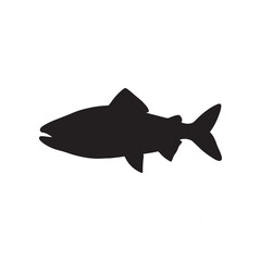 salmon silhouette., Vector illustration. salmon silhouette in line art style. Fish vector by hand drawing. Fish tattoo on white background .Black and white fish vector on white background