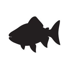 salmon silhouette., Vector illustration. salmon silhouette in line art style. Fish vector by hand drawing. Fish tattoo on white background .Black and white fish vector on white background