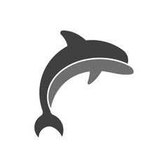 Dolphin Logo Template Icon