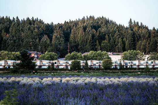 Woodinville, Washington. Sammamish Trail. Bikers, Walkers, Nature enthusiasts. Bellevue and Seattle Metro
