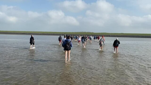Sylt