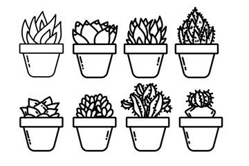 Sukulen in pot doodle set for package design or plant shop, sukulen plants cartoon set