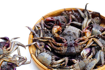Preserved crabs for ingredient thai food