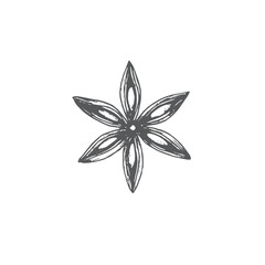 Anis with seeds. Graphics vector illustration. Use on wrapping paper, New Year's textiles, stickers, cookbook and recepies, also in decoration cafe. It is an ingredient for mulled wine and bakes.
