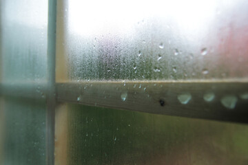 Condensation and raindrops on a window, shallow depth of field.