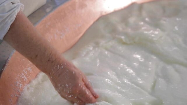 Adding Rennet for Parmigiano Reggiano - Close Up - Cheesemaking, Dairy, Food, Italy, Factory, Process, Manufacturing, Industry, Agriculture, Traditional