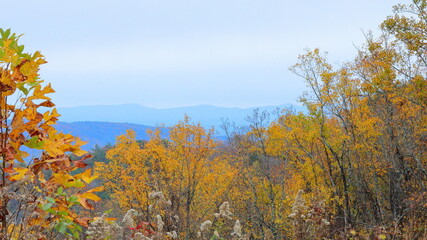 Scenic fall foliage shot of Autunm colors in the Blue Ridge Mountains. 