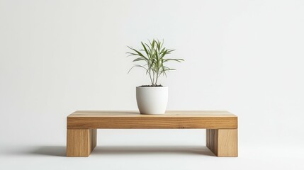 Wooden coffee table with a single plant pot, minimalistic, white background,