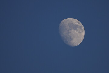 Day light moon shot nearly full showing craters. 