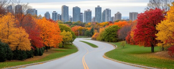 Obraz premium Wide road with trees, yellow leaves, and tall buildings in background