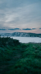 View of the island in the ocean from the ground full of grass