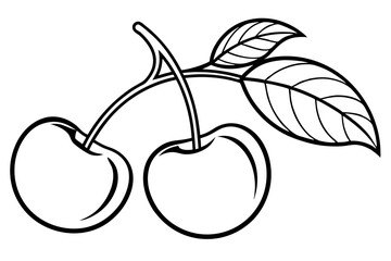 Cherry Line Art with Leaves Outline on White Background