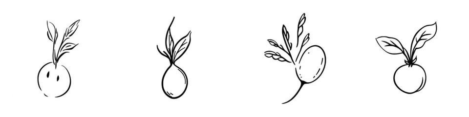 Line drawing of a turnip with leaves, illustrating a vegetable in a minimalist fashion.
