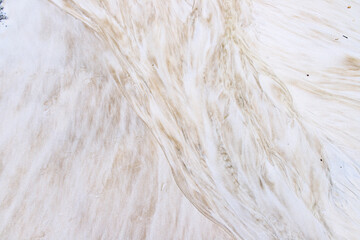 Winding Water Traces on a Sandy Shore