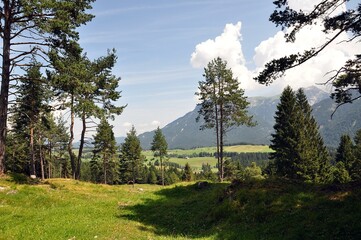 Umgebung von Mittenwald