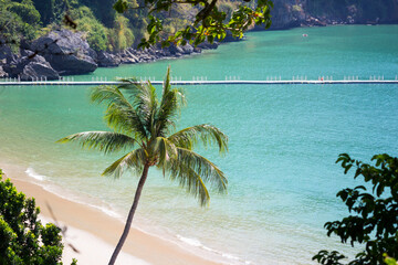 Serene private beach in Krabi, Thailand with a coconut tree in the foreground