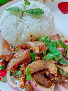 rice with pork