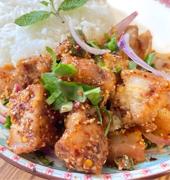 chicken curry with rice
