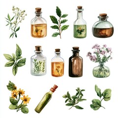 Botanical Potion Collection. Hand-drawn Watercolor Herbal Essences for Alternative Healing Therapies.