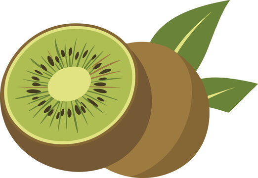 recommend clip art: Kiwi Icon vector on white background, Kiwi Icon, Kiwi