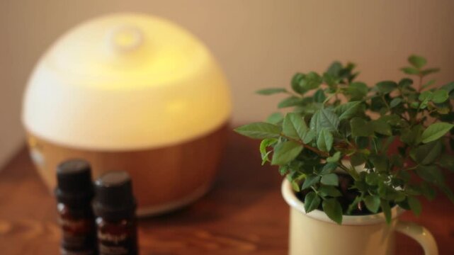 アロマ器と観葉植物～セラピストにマッサージされる女性の顔ヨリ