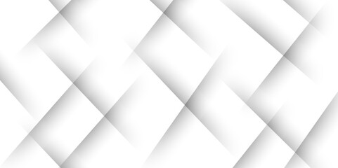 Obraz premium Abstract white and gray modern background with shadow. Minimalist graphic design element future style Space design concept. modern abstract gray line light dynamic shape composition background.