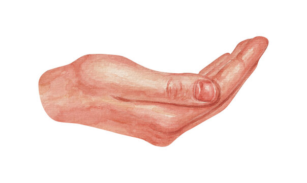 watercolor hand