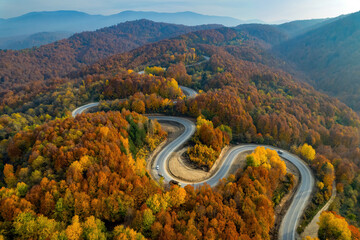 autumn landscape. drone shot on a curvy forest road.