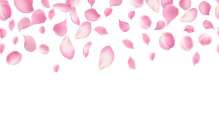 Rose petals or sakura flying petals, romantic background with realistic pink cherry flower petals flow or falling motion. Love, romance, floral spring season,cherry blossom Seamless left and right