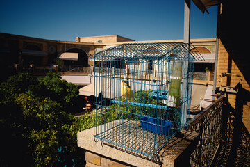 Birdcage on a Sunny Balcony