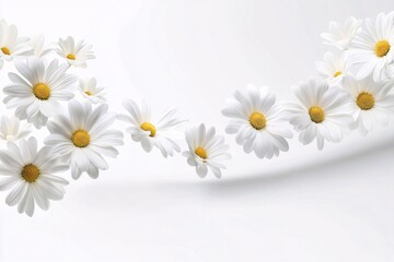 Obraz premium White Daisies on a White Background - Delicate Floral Photography