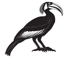 Obraz premium Hornbill bird isolated on white background, Silhouette of a hornbill animal bird vector