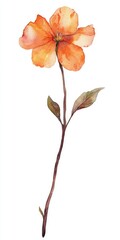 Watercolor Pansy Twig. Hand-painted Clip Art of Single Elegant Leaf Isolated in Summer Garden