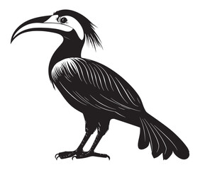 Obraz premium Hornbill bird isolated on white background, Silhouette of a hornbill animal bird vector