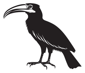 Obraz premium Hornbill bird isolated on white background, Silhouette of a hornbill animal bird vector