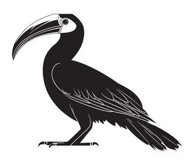 Obraz premium Hornbill bird isolated on white background, Silhouette of a hornbill animal bird vector