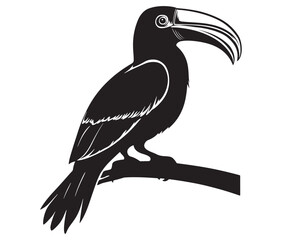 Obraz premium Hornbill bird isolated on white background, Silhouette of a hornbill animal bird vector