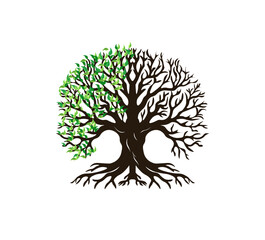 Vector illustration of a cartoon tree with roots	