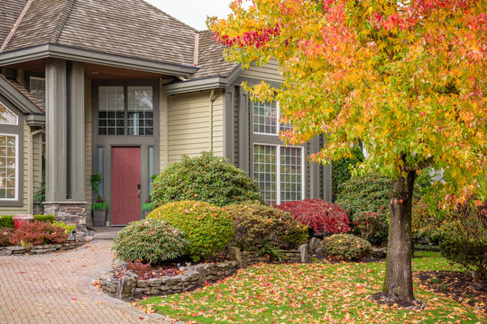 Fragment of  luxury house in fall with green trees and nice landscape in Vancouver, Canada, North America. Day time on November 2024.