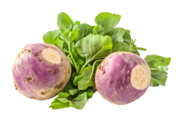 rutabaga isolated on white background 